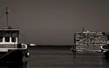 Spam