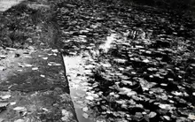 Leeds Liverpool canal