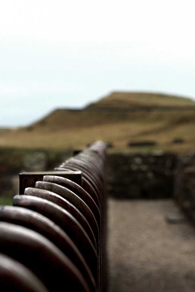 On the fence