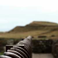 On the fence