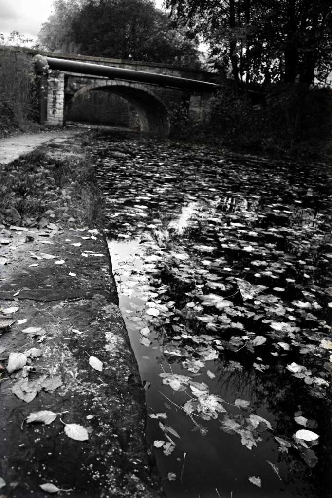 Leeds Liverpool canal